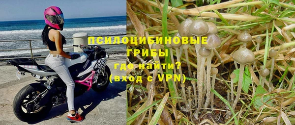 спайс Алзамай