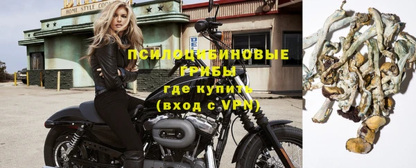 спайс Алзамай