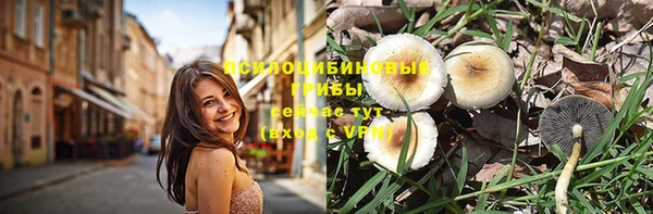 mix Алексеевка