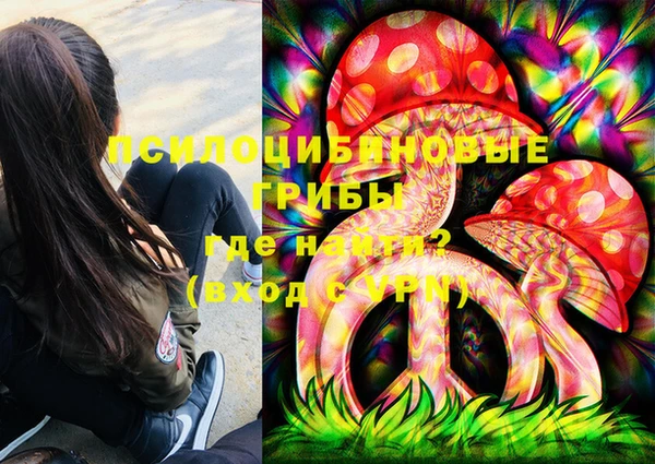 спайс Алзамай