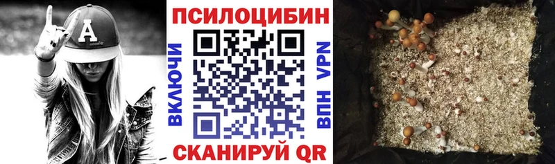 блэк спрут маркетплейс  Солнечногорск  Галлюциногенные грибы MAGIC MUSHROOMS 